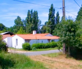 la-guillemardiere la-guillemardiere